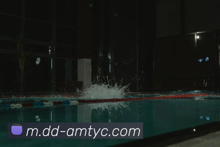 多媒体互动体验