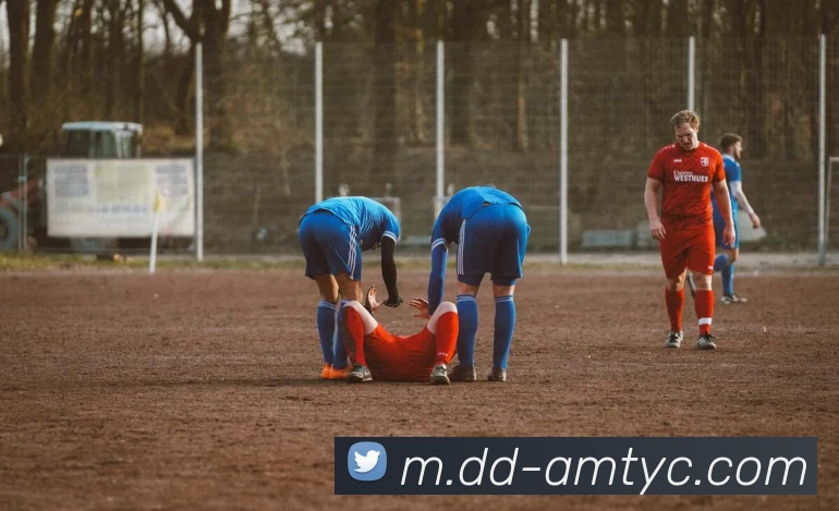 澳门太阳城网站APP 体育赛事宣传图